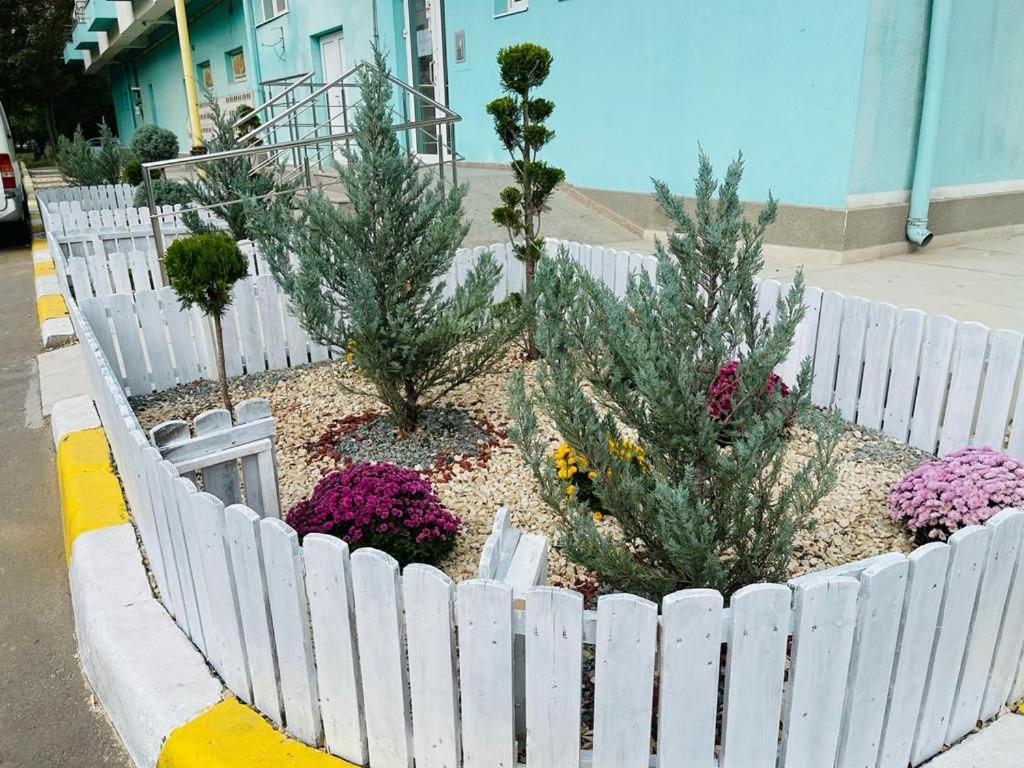 Apartament Summerland Mamaia Nord Bagian luar foto